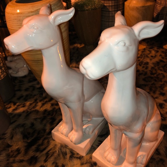 Porcelain hounds